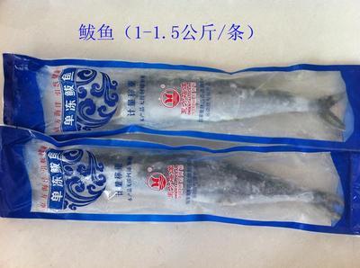 青島海鮮盛宴，禮遇四方 城陽(yáng)海產(chǎn)品禮盒批發(fā)采購(gòu)全指南